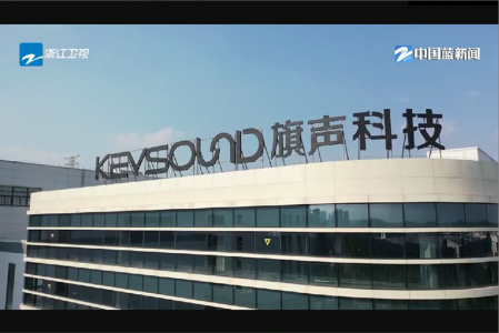 浙江衛(wèi)視 中國藍觀察-三季度經(jīng)濟調研行之旗聲科技專訪